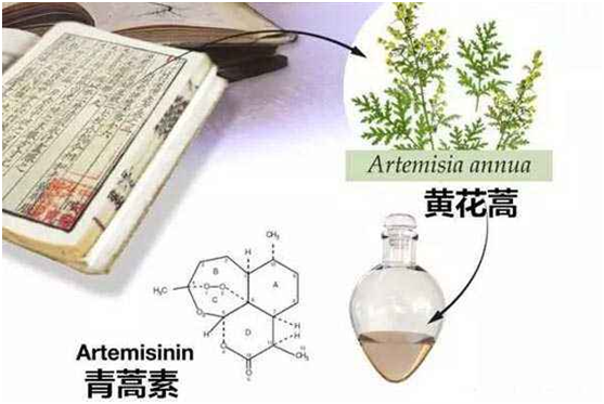 九游会j9首页(官方)网站/网页版登录入口/手机版本APP下载,：向中医药看齐，与世界共享中医药文化(图1)